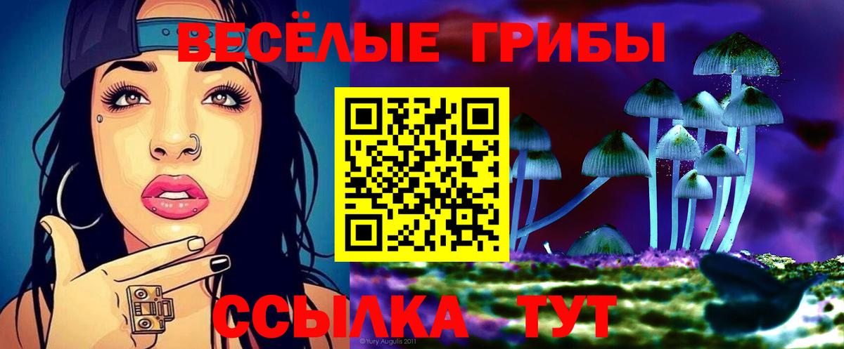 Псилоцибиновые грибы прущие грибы Кстово