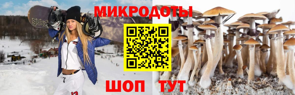 Галлюциногенные грибы Magic Shrooms  где найти   Кстово  Вход с VPN 